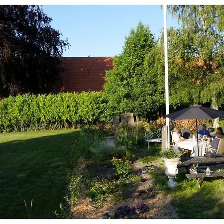 Havkig * סבנסקה